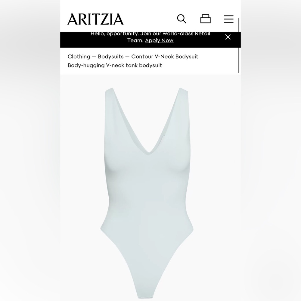 Aritzia babaton bodysuit
